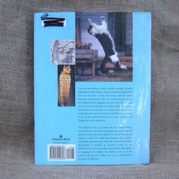 The Kingdom of the Cat by Roni Jay - Picture 3 of 16